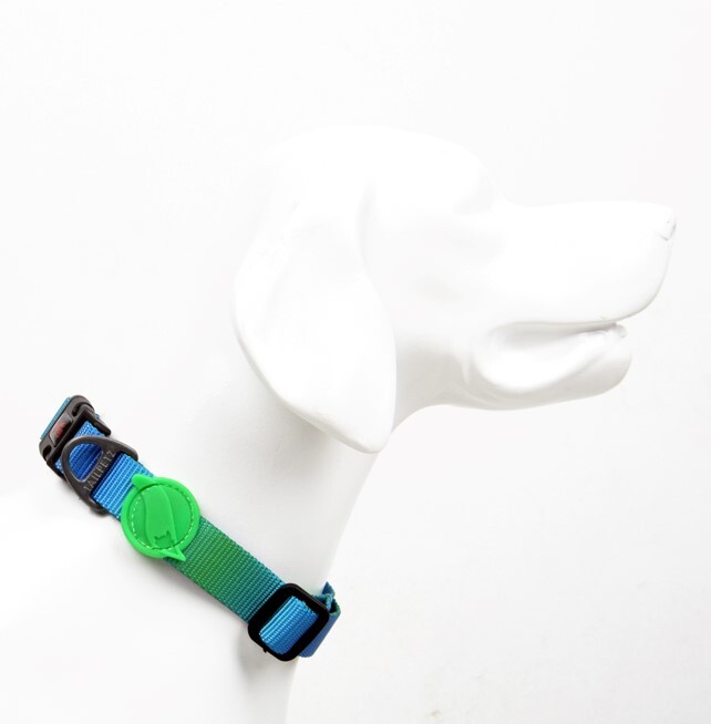 TAILPETZ AMAZON COLLAR LARGE - 1