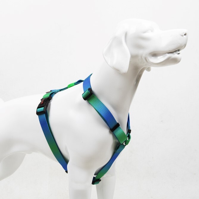 TAILPETZ AMAZON H-HARNESS M - Tailpetz