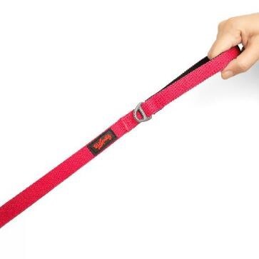 TAILPETZ NEO PINK MATCH LEASH SMALL - Tailpetz