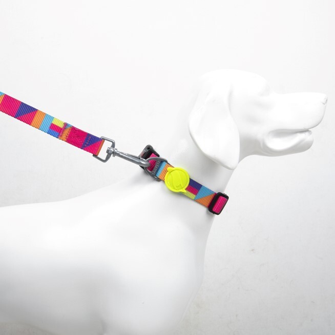 TAILPETZ SPIRIT COLLAR SMALL - Tailpetz